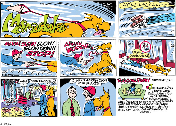 marmaduke
